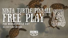 Teenage Mutant Ninja Turtle Pinball on FREE PLAY