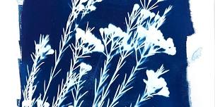 Cyanotype Printing