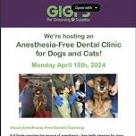 Anesthesia-Free Teeth Cleaning Clinic