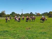 Falling Creek Ranch Kids Camp