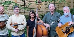 Alice Zincone & Carolina Lightnin' bluegrass concert