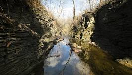 Field Science Workshop: Earth Science & Geology of NE Illinois