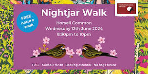 Nightjar Walk at Horsell Common