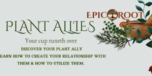 Plant Allies Class: Discover Your Plant Ally