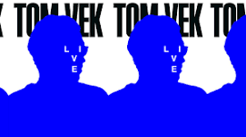 Tom Vek