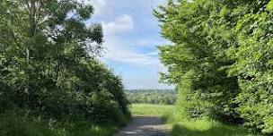 Walk & Talk in High Woods Country Park, Colchester