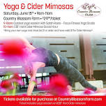 Orchard Yoga & Cider Mimosa Event!