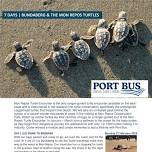 Bundaberg & The Mon Repos Turtles