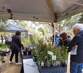 Australian Plant Society South Australia Fleurieu Branch and Friends of Nangawooka  plant sale