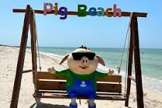 Progreso City Tour, Pig Beach and Sergio´s Beach House