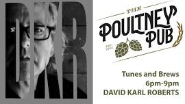 Friday Tunes w/ David Karl Roberts