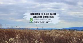 Barrens to Bald Eagle Wildlife Corridor: Guided Outings