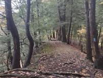 4-5 Mile Moderate Pace Hike Wooster Memorial Park