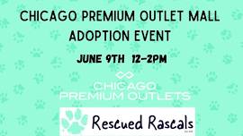 Chicago Premium Outlet Mall Adoption Event