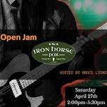 The Bruce Lyons Monthly Jam at the Iron Horse Pub!!