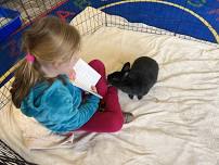 Literacy | Read to Mr. BunBun