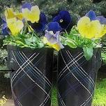 Bloomin’ Rain Boots