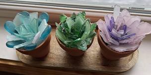 Sebewaing Glass Succulents Workshop