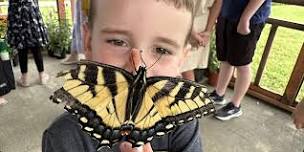 Interacting with Nature: Butterflies at the Butterfly Exhibit