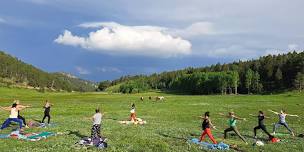 Summer Solstice Yoga With The Horses