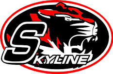 Buffalo Varsity Baseball @ Skyline