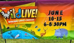 VBS: WildLIVE!