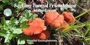 Seeking Fungal Friendships in the Forest