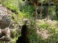 Explore Reimers Ranch Park (Hamilton Pool If Warm)