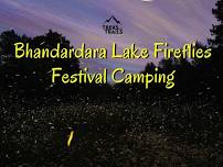 Bhandardara Lake Fireflies Camping 2024