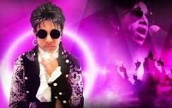 The Purple Madness - Prince Tribute Show