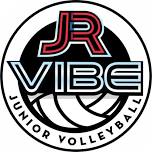 Health & Wellness | Jr Vibe Volleyball Mini Clinic