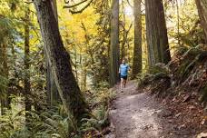 Chuckanut Foot Race