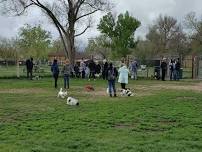 DSDS at Fruitdale Dog Park - Thursday 6-8 pm