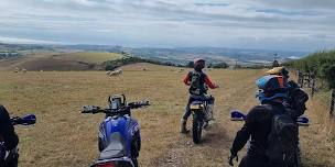 1-Day Trail Ride: West Dorset