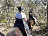 Women’s Equine Afternoon