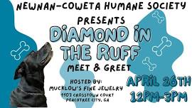 Diamond in the Ruff Meet & Greet