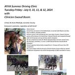 AFHA Summer Driving Clinic with Dutch clinician Ewoud Boom