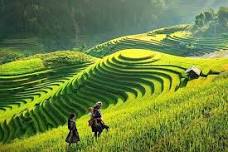 North Vietnam Landscape Tour: 6-Day Trekking in Hanoi, Sapa, Halong Bay