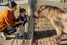 Dairy Day at Wolcott Mill Metropark Farm Center in Ray Township