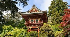 Japanese Tea Garden’s Free Admission Hour (Golden Gate Park)