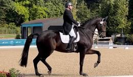 Clinic with USDF Gold Medalist Matt Baillargeon