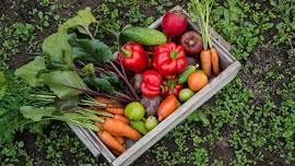 Flower Mound First Baptist Church Community Garden Workday