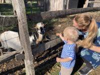 Farm Explorers - At Weir River Farm - Hingham, MA