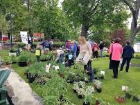 Lake George Community Garden Club - Annual Perennial Plant Sale