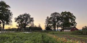 2nd Annual Summer Solstice Feast in the Field,