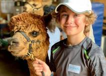 Island Alpaca Walk & Talk