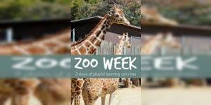 Kid's Zoo Week Art Program - Week 5