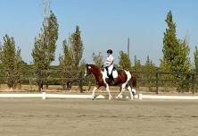 Dunnigan Hills Dressage SCHOOLING show