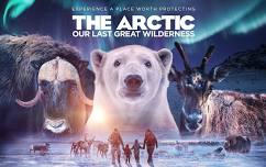 The Arctic: Our Last Great Wilderneess