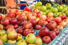 The Woolery Farmers' Market — Bloomingfoods Co-op Market